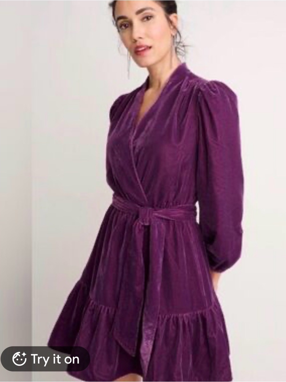 NWOT Anna Plush Velvet Dress in Deep Purple